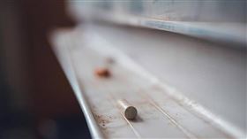 新北女教師表示，她被8+9高中生迷倒。（示意圖／Pexels）