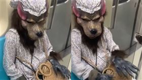 「大野狼」也搭捷運　民眾嚇到：打扮太逼真！（▲圖／翻攝自nemo_ooo_Threads）