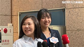 傳列「獵殺20綠委」名單　國民黨：沒聽過