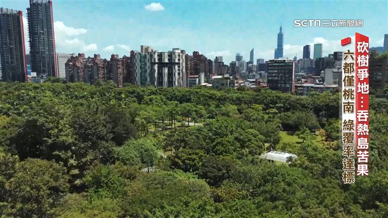 影／砍樹吞苦果！　六都僅桃南綠覆率達標