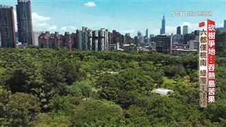 影／砍樹吞苦果！　六都僅桃南綠覆率達標