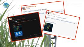 藝人應和中國統戰挺