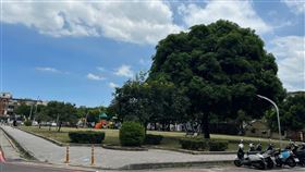 繼承,土地,花東,繼承人（圖／新竹市稅務局提供）