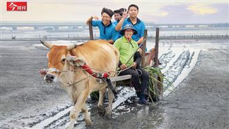孩子坐牛車上課體驗「海牛採蚵」！熱血公務員把彰化縣變一間大教室
