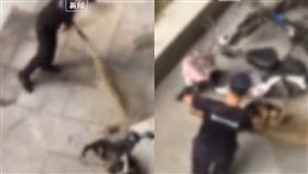 學校保安打死咬人狗遭停職調崗。（圖／翻攝自「澎湃新聞」微博）