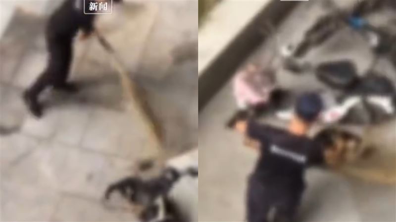 學校保安「失手打死咬人狗」遭停職！網傻