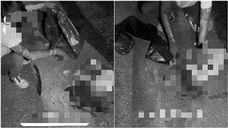 打黑幫名號練膽…斬首浪犬！包手提頭棄屍