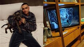 連恩佩恩17日在飯店墜樓身亡。（圖／翻攝自連恩佩恩IG、X@GabiSantapaola）