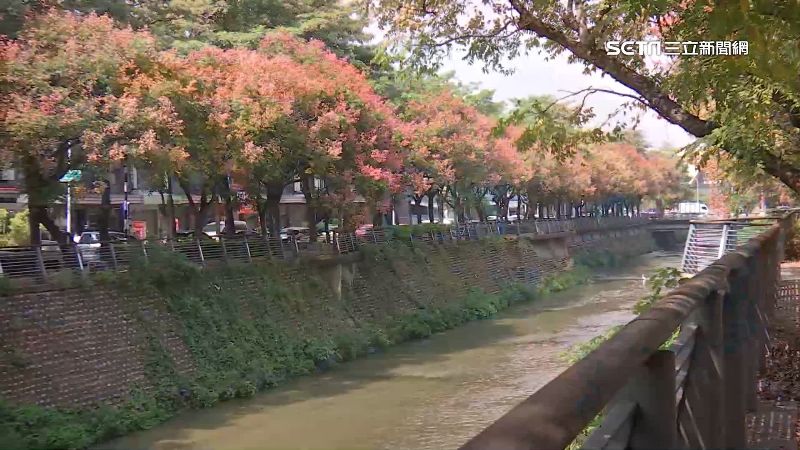 秋天到了，天氣也開始轉涼。（示意圖／資料照）