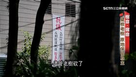 新聞深一度／建公設直接砍　傷受保樹罰10萬「移植貴十倍」