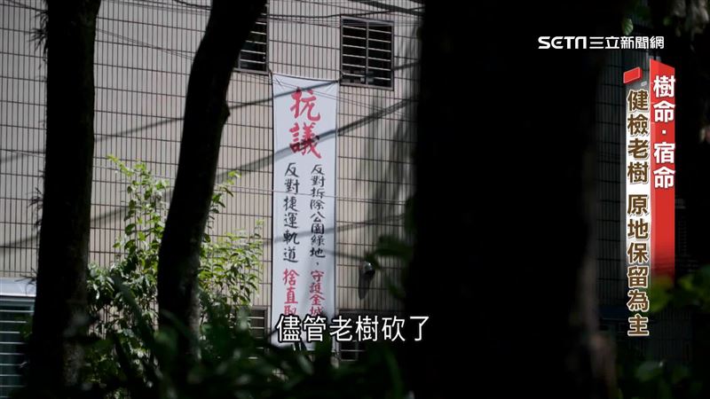 影／傷受保樹僅罰10萬　建商違規照開挖