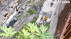 南投,人止關,油漬,摔車,墜溪,車禍（圖／翻攝畫面）