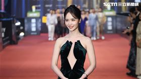 陳明珠走上金鐘獎星光紅毯。（圖／記者趙于瑩、鄭孟晃攝影）