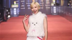 《山裡來了熊孩子》Lulu（黃路梓茵）、任容萱、粿粿（江瑋琳）、夏浦洋。（圖／記者鄭孟晃、趙于瑩攝影）