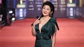 王彩樺低胸走紅毯。（圖／記者鄭孟晃、趙于瑩攝影）