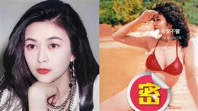 關之琳,比基尼,上圍,大肚腩,劉德華,陳泰銘