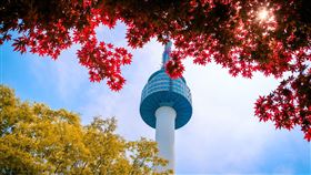 雄獅旅遊推出韓國賞楓4日9999元起優惠、富國島18900元起。（圖／雄獅旅遊提供）