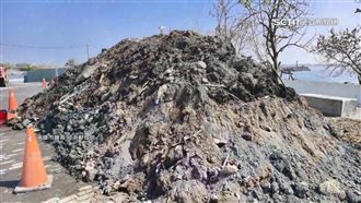 市境之南國瑜樹　議員轟：怎成廢土堆置場