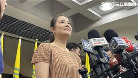 民進黨立委吳思瑤（圖／記者高逸帆攝影）