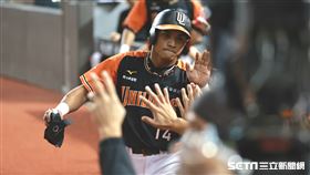 ▲中職35年台灣大賽G1，統一獅左外野手邱智呈靠著潘傑楷的內野滾地球跑回第2分。（圖／記者劉彥池攝影）