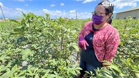 雲林,農機展,農民,農友,收成,極端氣候