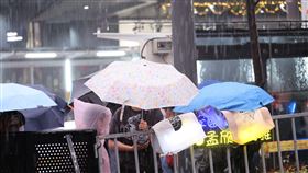 （圖／記者鄭孟晃、趙于瑩攝影）