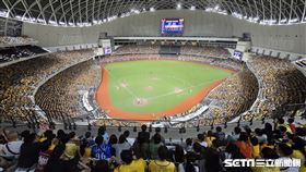 ▲中職35年台灣大賽G1，臺北大巨蛋湧進滿場4萬人。（圖／記者劉彥池攝影）