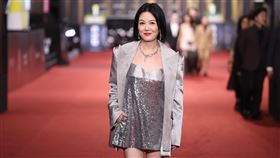 苗可麗在金鐘獎戲劇類星光大道紅毯。（圖／記者趙于瑩、鄭孟晃攝影）
