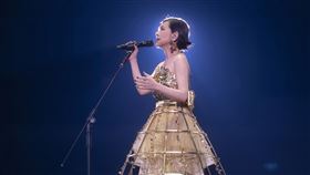 張清芳在台北小巨蛋開唱。（圖／上引娛樂提供）