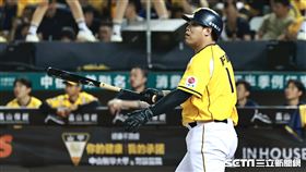 ▲中職35年台灣大賽G1，中信兄弟指定打擊陳子豪。（圖／記者劉彥池攝影）