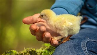 專挑少女露鳥！男繳錢換免關…這次踢鐵板