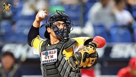 ▲中信兄弟捕手林吳晉瑋。（圖／中信兄弟提供）