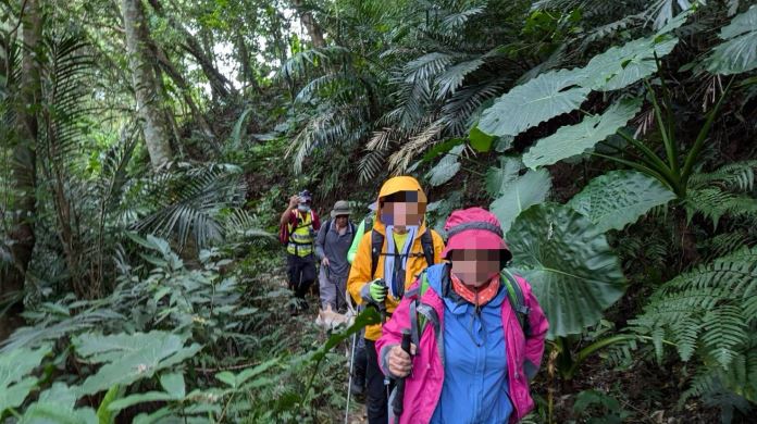 登山團桃園遭虎頭蜂襲擊！5人送醫
