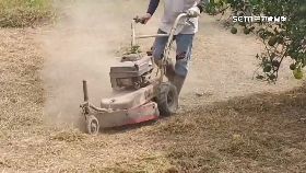 農民非消.費1800