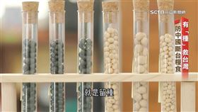 影／有「種」救台灣！防中國斷台糧食　大豆拚復興