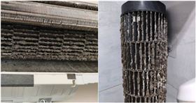 網友家中冷氣連續開了2個月沒關，近日想到要打開清洗，一拆開機殼就發現冷氣風鼓上黏滿厚厚的黴菌與灰塵，畫面令人頭皮發麻。（圖／翻攝FB／水電DIY技術研習社）

