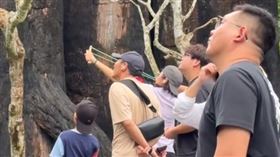 圖／翻攝自TikTok＠patcharida_36