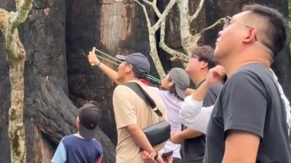 中國女遊泰動物園拿彈弓射擊　園方出手了