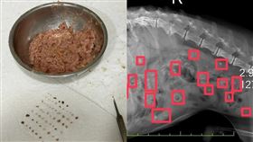 「西莎」寵物罐頭被飼主指控含有骨頭和碎石，業者已將產品回收調查。（圖／讀者提供）