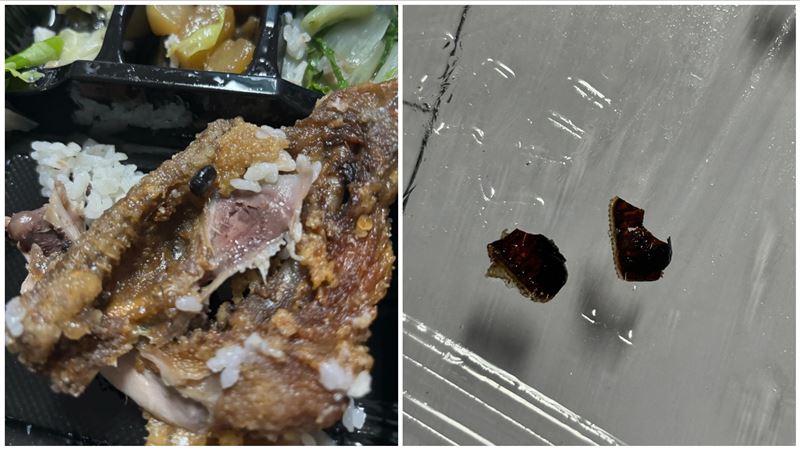 4.5星自助餐吃到「隱藏炸蟑螂蛋」網嚇吐