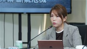 民眾黨立法院黨團主任陳智菡。(圖/民眾黨團提供)