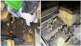 汽修廠,竹東,白骨,狗,新竹（圖／新竹縣議員朱健銘提供）