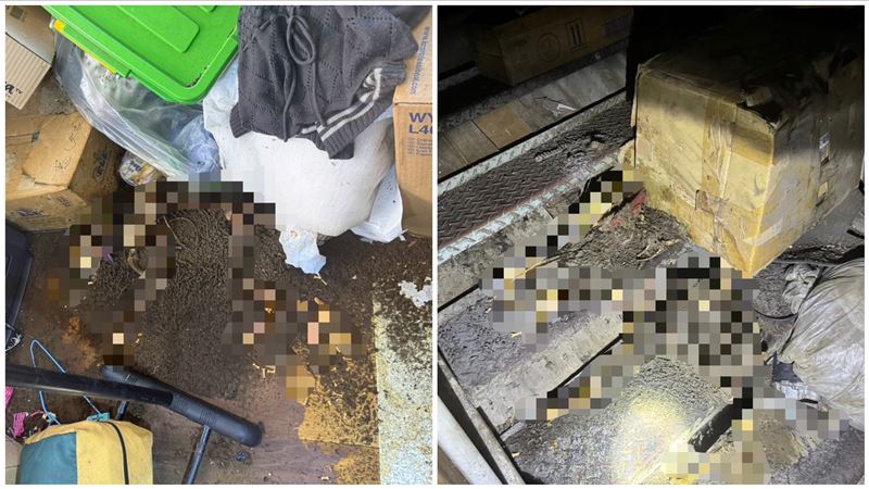 汽修廠老闆跑路半月　家中見2具餓死白骨