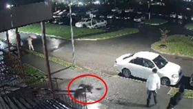 喝醉酒被妻鎖門外，他爬陽台13樓重摔慘死。（圖／翻攝自TheWorldWatch）
