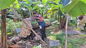 ▲衛生局持續執行管制區域環境噴消及孳生源清除作業。（圖／新北衛生局提供）