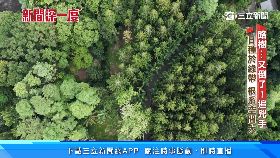 (深一度)揪路樹種錯1900