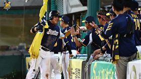 ▲台灣大賽G4，中信兄弟陳子豪單場2分打點都是關鍵超前分。（圖／中信兄弟提供）