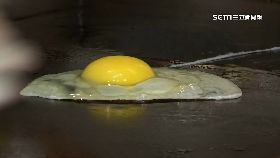 文 雞蛋價慘跌1800