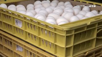 蛋價跌沒用！加蛋+15惹民怨　業者吐無奈