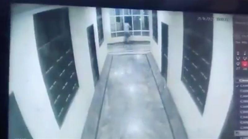 他飯店追狗墜樓亡！1關鍵太離奇警方要查